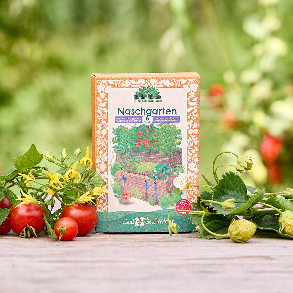 Saatgut-Set Naschgarten mit 6 samenfesten BIO-Sorten | Frisches Naschvergnügen mit Obst & Gemüse zum Selberziehen z.B. Zuckererbse, Erdbeere|  Ideal als Geschenk für Hobbygärtner zum Geburtstag, Weihn