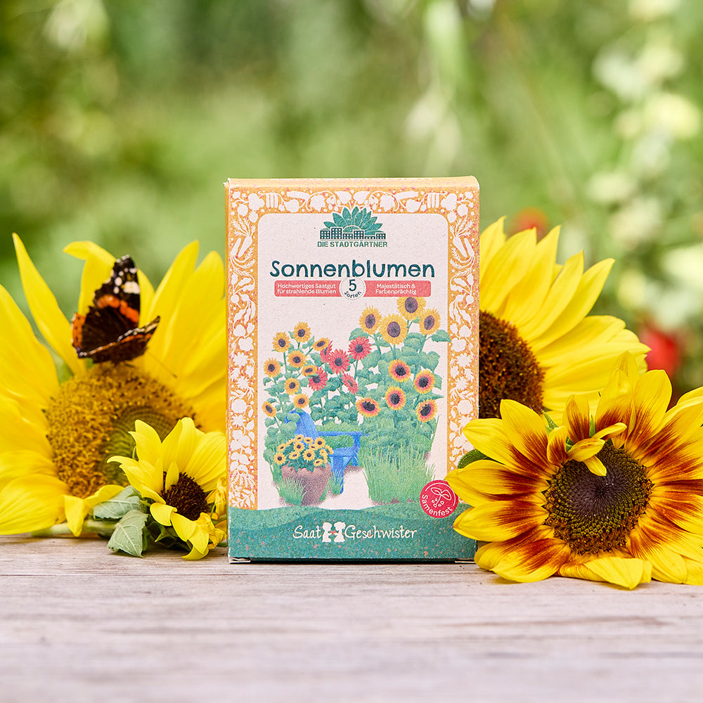 Saatgut-Set mit 5 samenfesten Sonnenblumen-Sorten | Set mit Pflanzensamen mit hochwertigem Saatgut | Perfekt als Geschenkidee für Gartenfreunde und Sonnenblumen-Liebhaber zum Geburtstag, Ostern etc. |