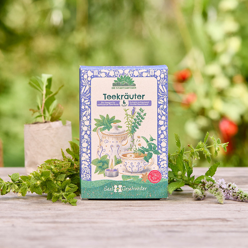 Saatgut-Set Teekräuter mit 6 samenfesten BIO-Sorten | Anzuchtset für Teeliebhaber mit hochwertigem BIO-Saatgut | Kräutervielfalt für Garten, Balkon & Terrasse | Perfekte Geschenkidee für Kräuter- und 