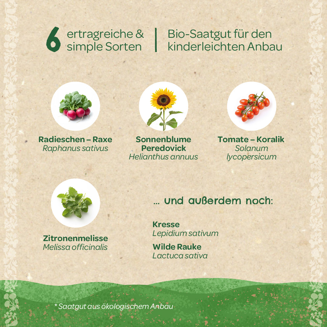 Sechs ertragreiche und einfache Gemüsesorten als Bio-Saatgut, darunter Radieschen, Sonnenblume, Tomate, Zitronenmelisse, Kresse und wilde Rauke, auf beigem Hintergrund mit grüner Verzierung.