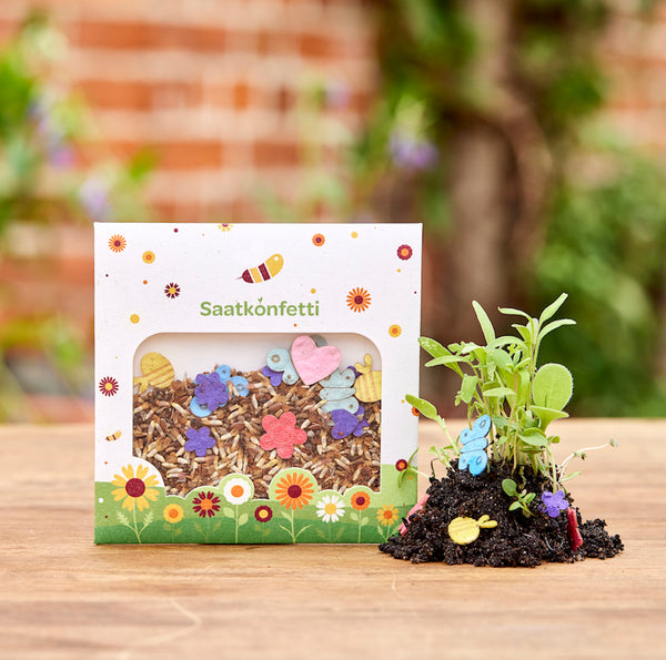 Seed and Seed Paper Confetti in a Case