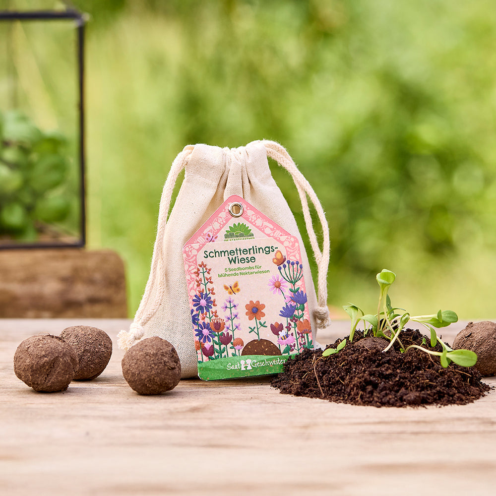 Saatgeschwister Saatkugeln Schmetterlingswiese – 5 Saatkugeln mit Wildblumenmischung für Schmetterlinge im Baumwollsäckchen | Seedbombs für bunte Wildblumen für Garten, Balkon & Terrasse | Nachhaltige