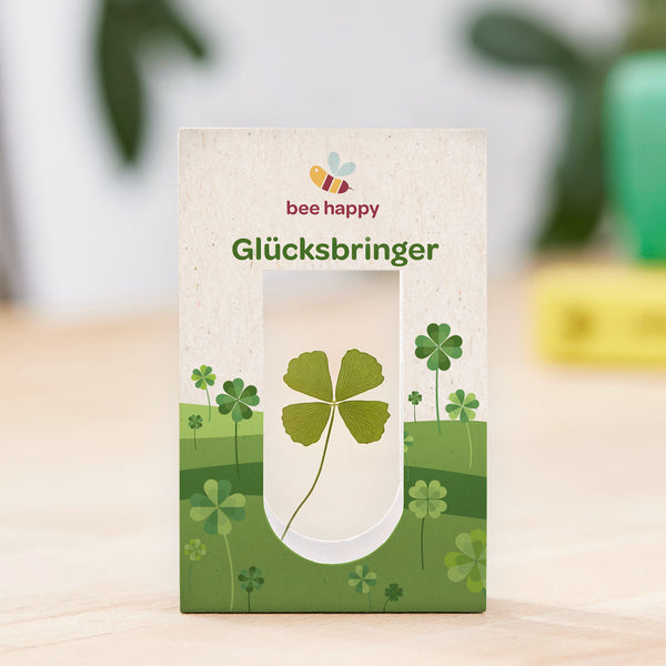 Four-Leaf Clover Between Two Glasses in a Package