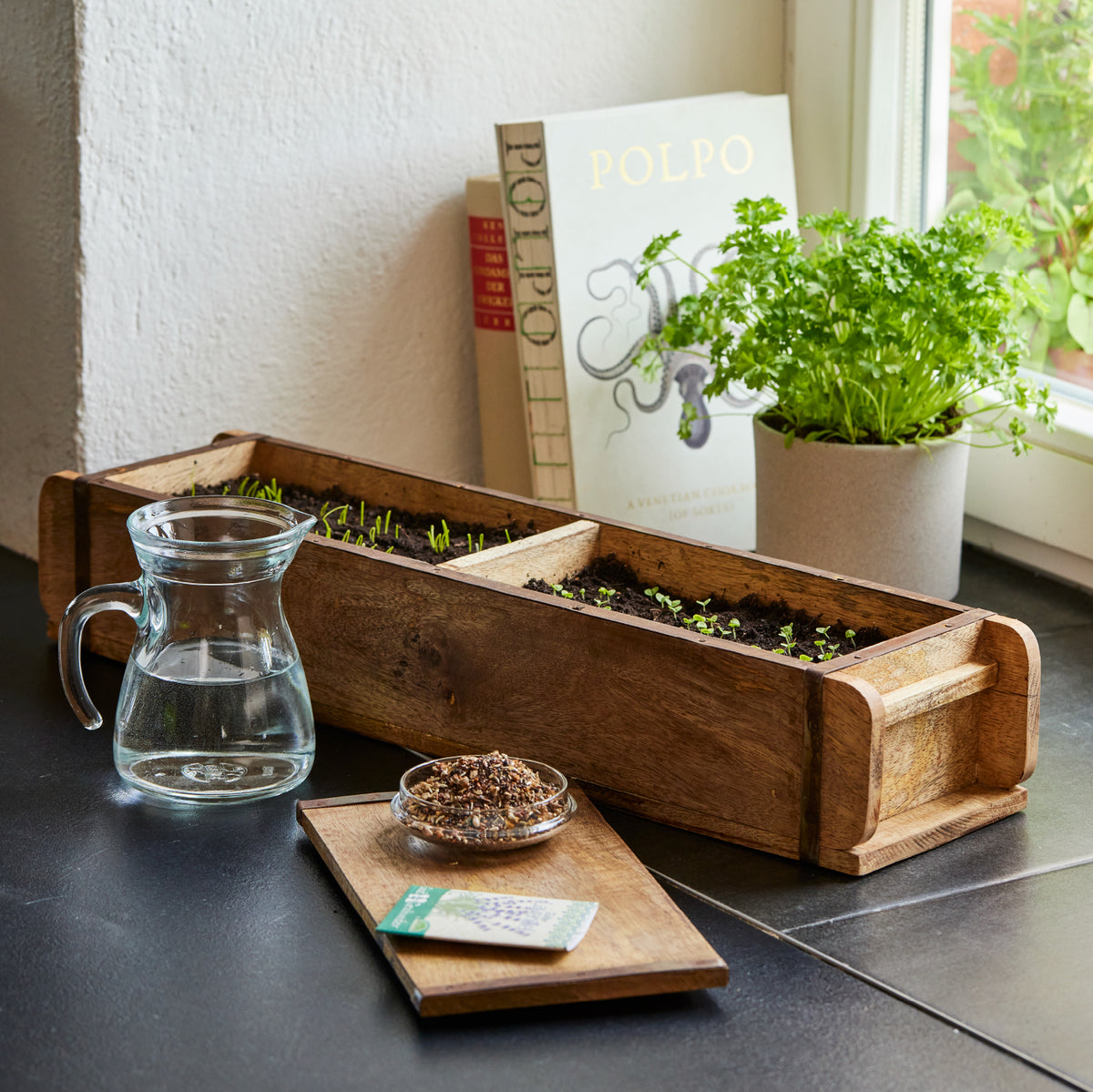 Holzkasten mit Kräuterkeimlingen auf einer Fensterbank, daneben ein Glas Wasser, ein Topf mit frischer Petersilie, ein Kochbuch und eine Schale mit Samen.