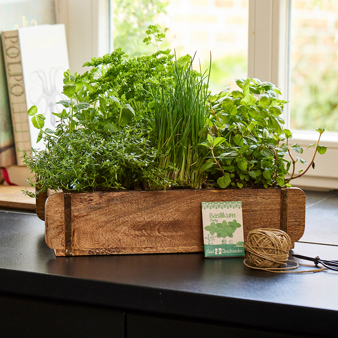 Ziegelform mit 6 Fächern Ziegelform mit 6 Fächern