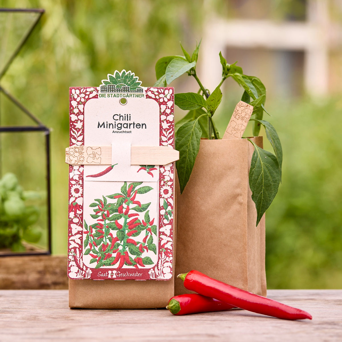 chili samen aufbewahren Anzuchtset – Minigarten BIO-Chili