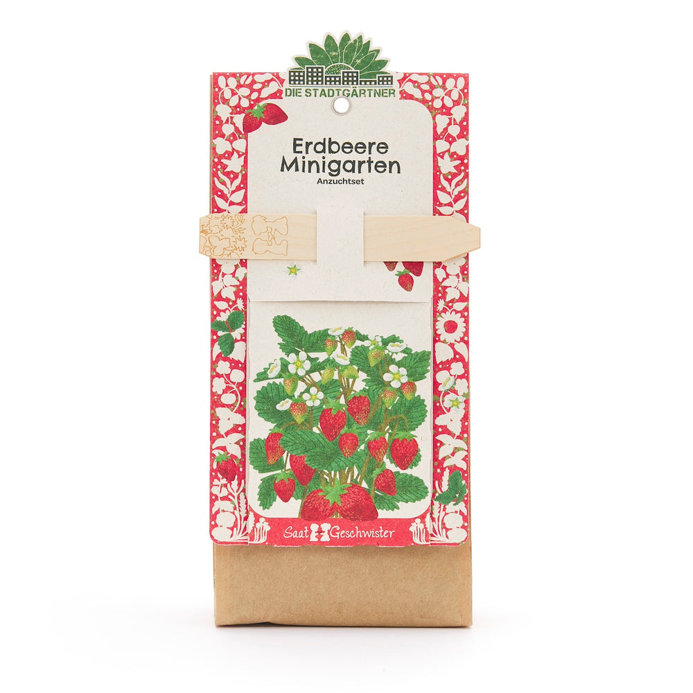 Anzuchtset – Minigarten Erdbeeren I Set: Samen, Saatgut und Anzuchterde I Ideal als Geschenk oder Geschenkidee