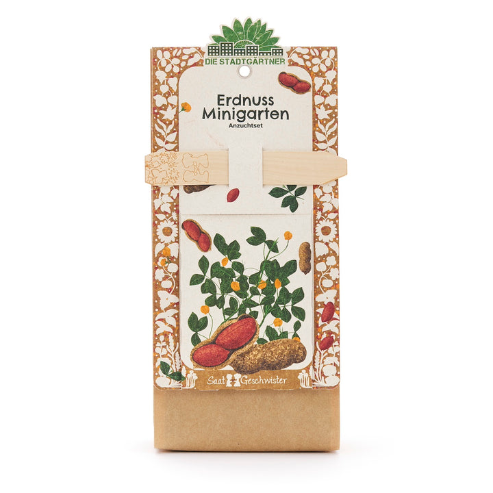 erdnüsse im blumenkasten Anzuchtset – Minigarten Erdnuss