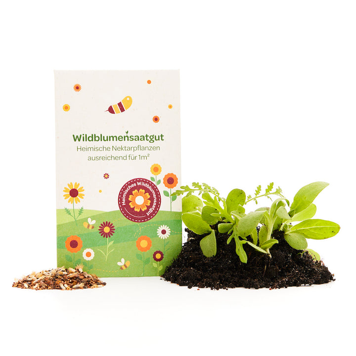 Packung mit Wildblumensaatgut, daneben ein kleiner Haufen Blumenerde mit jungen Pflanzen und losem Saatgut.