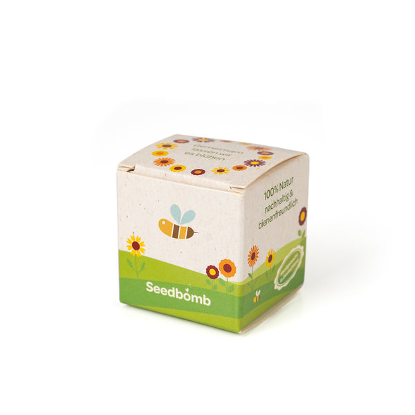Samenbombe im Verpackungswürfel