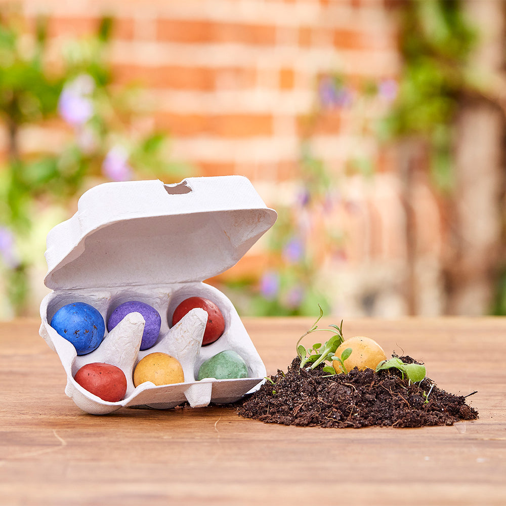 Osterblumen von "Die Stadtgärtner" | 6 bunte Blumenmurmeln im Mini-Eierkarton mit Banderole im Oster-Design | handgerollte, farbenfrohe Samenbomben | 100% ökologisch und mind. 2 Jahre haltbar | Osterg