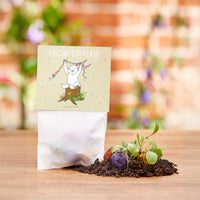 Canicas de flores con conejo de Pascua - tierno saludo de Pascua