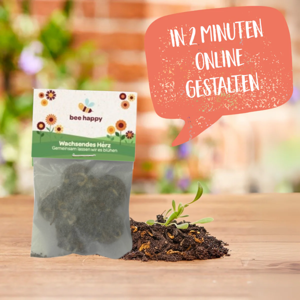 Wildblumen-Samen auf einer Quelltablette in einem Pergamin-Tütchen