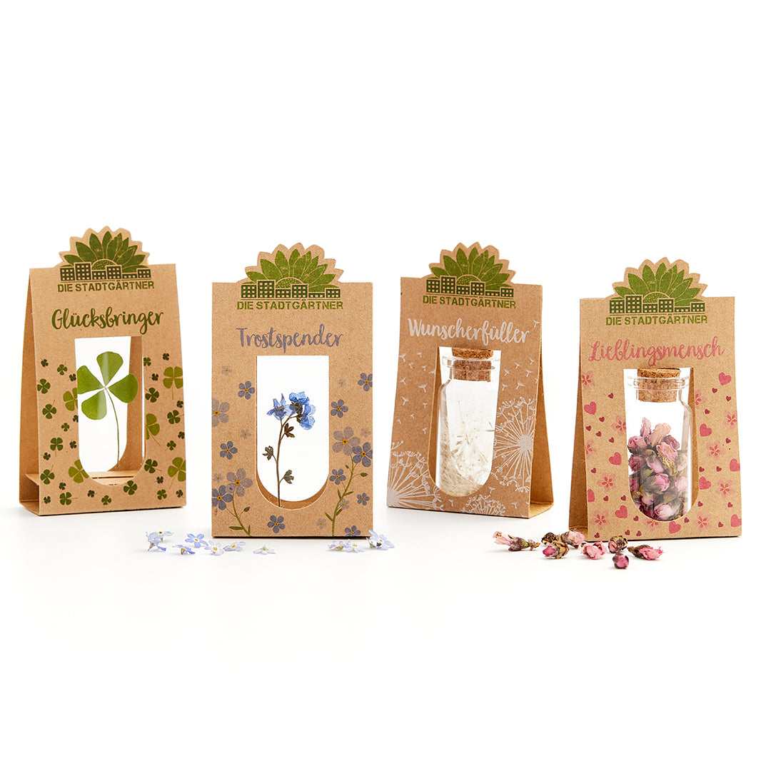 Vier dekorative Geschenkverpackungen aus Karton von Die Stadtgärtner mit kleinen Gläsern, jeweils gefüllt mit einem vierblättrigen Kleeblatt, einer blauen Blume, weißen Federn und rosa Blüten.