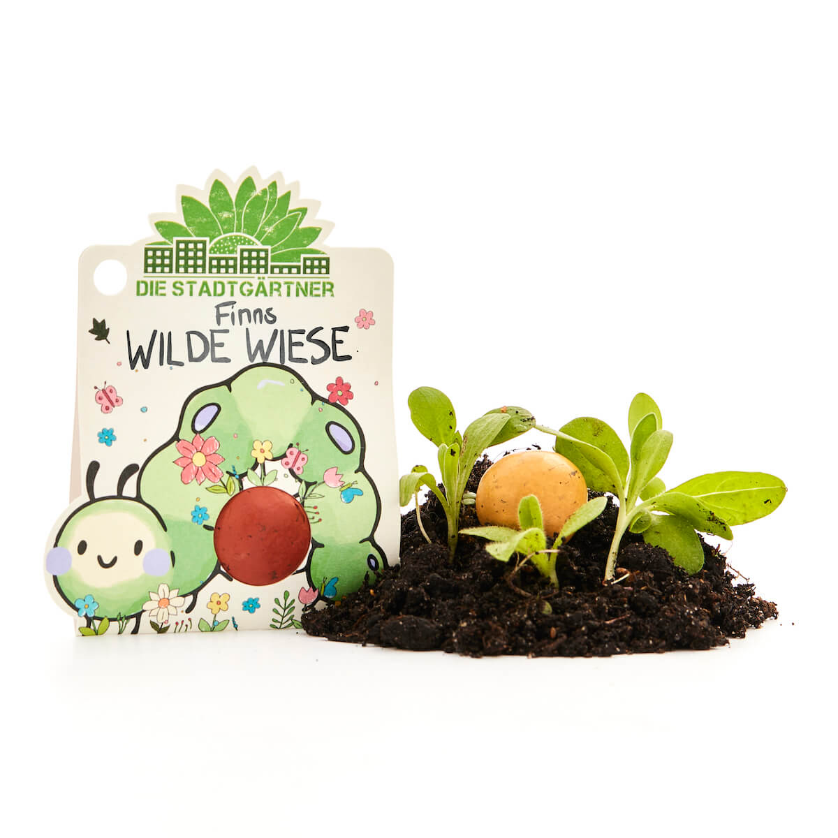 1er Blumenmurmeln I Finns Eldorado I Kleines nachhaltiges Weihnachtsgeschenk für Kinder I Ideal als kleines Geschenk oder Kleinigkeit