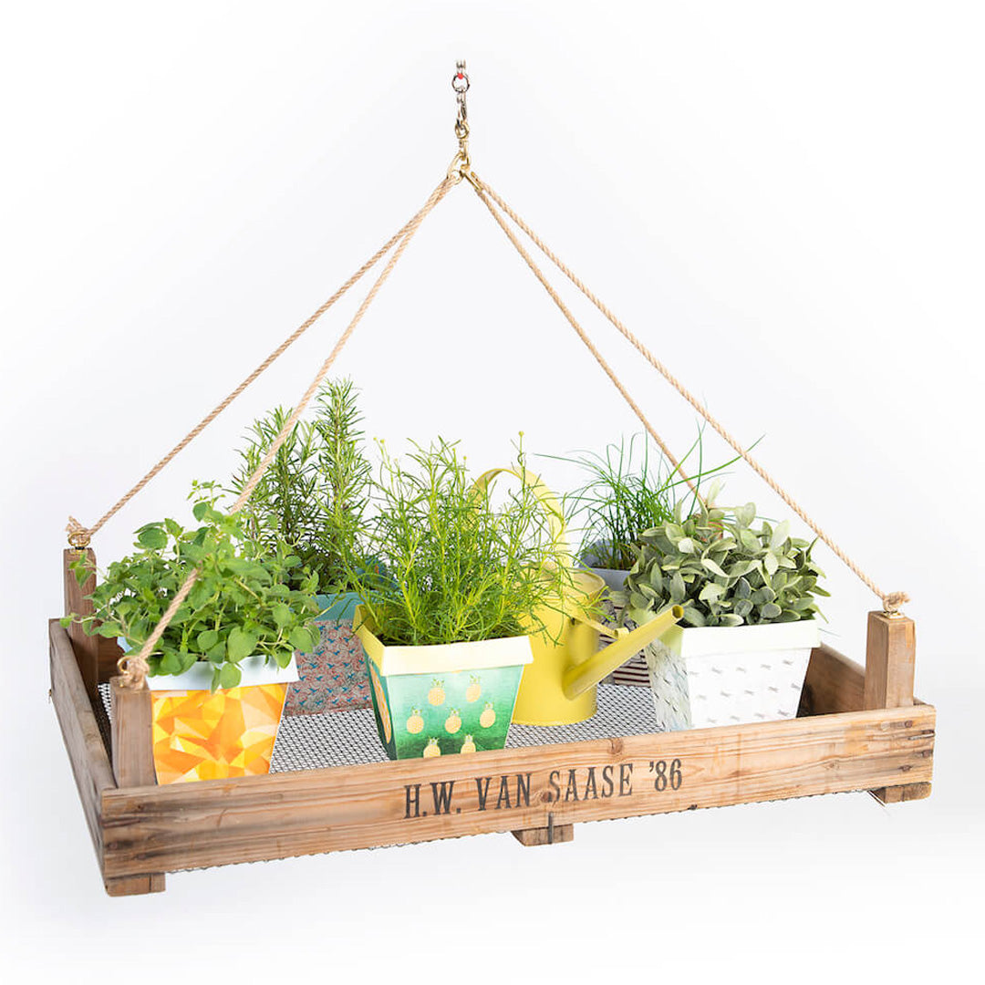 Dekorationsvorschlag für Blumenampel