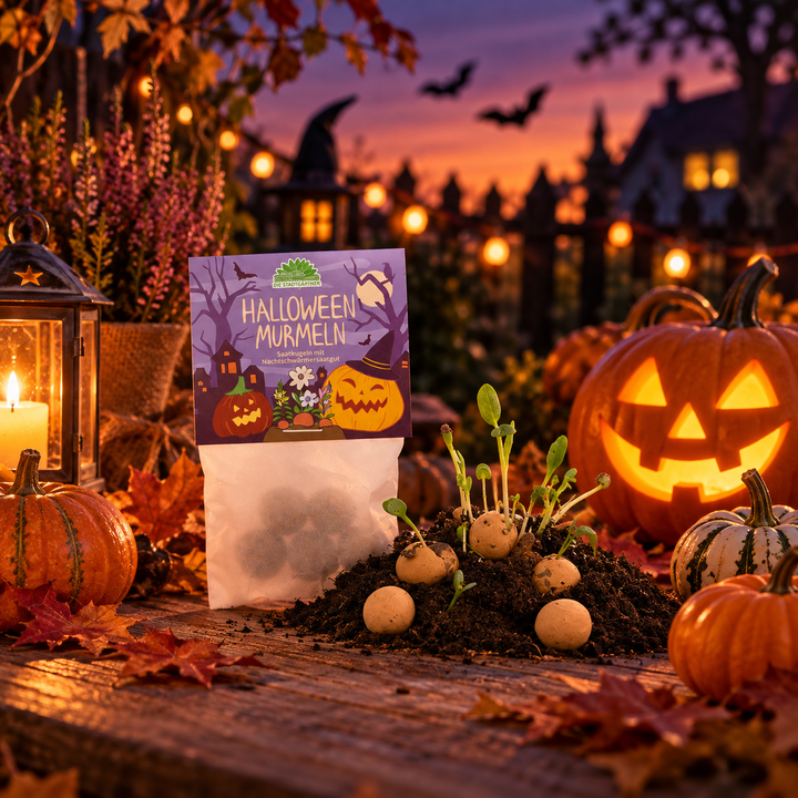 5 Blumenmurmeln im Tütchen "HalloweenMurmeln"