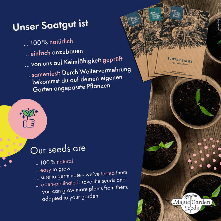 Werbebild für Saatgut mit Textaussagen über die Natürlichkeit und Einfachheit des Anbaus, Keimfähigkeit, Samenfestigkeit sowie Topfpflanzen und Saatgutpäckchen der Marke Magic Garden Seeds.