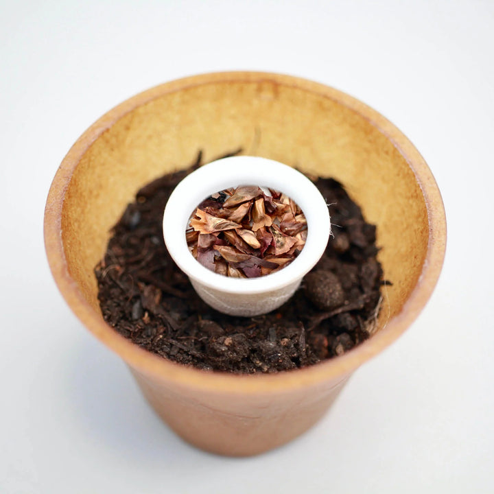 Eine Miniatur-Pfeife mit Tabak in einem großen Tabakblatt, kreativ präsentiert als Pflanze in einem Topf.