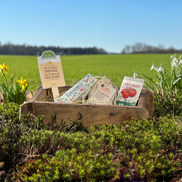 Holzkiste mit Samenpackungen und Gartenutensilien auf einer Wiese im Frühling.