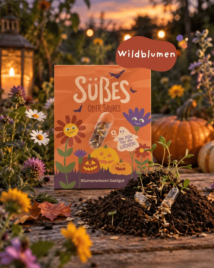 2er Set - Halloween Samenpille "Süßes und Saures"