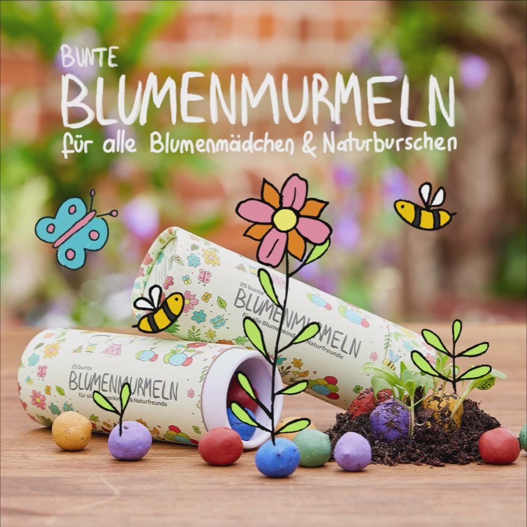 Blumenmurmeln Wann Aussen