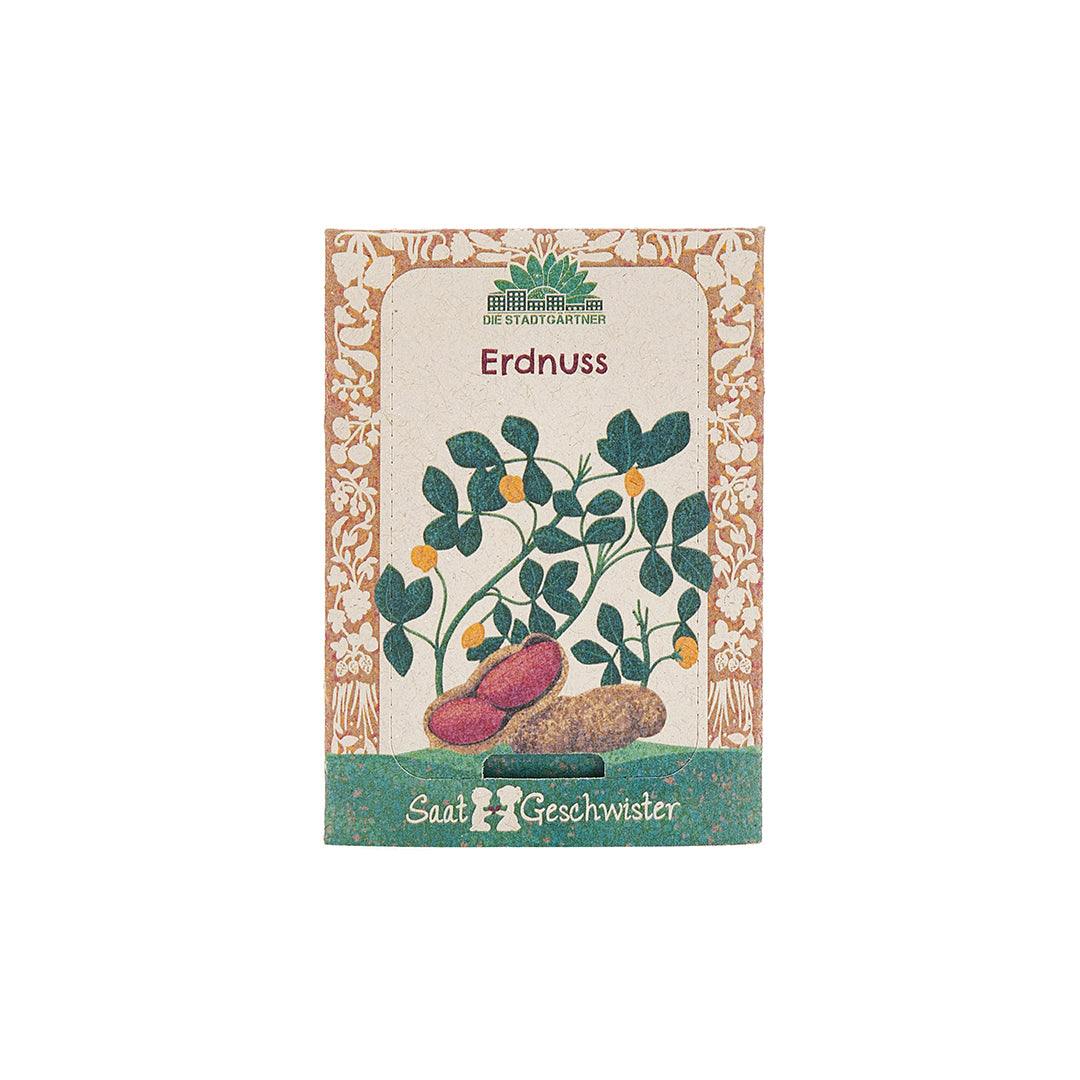 Erdnuss Samen kaufen | Saatgut | DieStadtgrtner