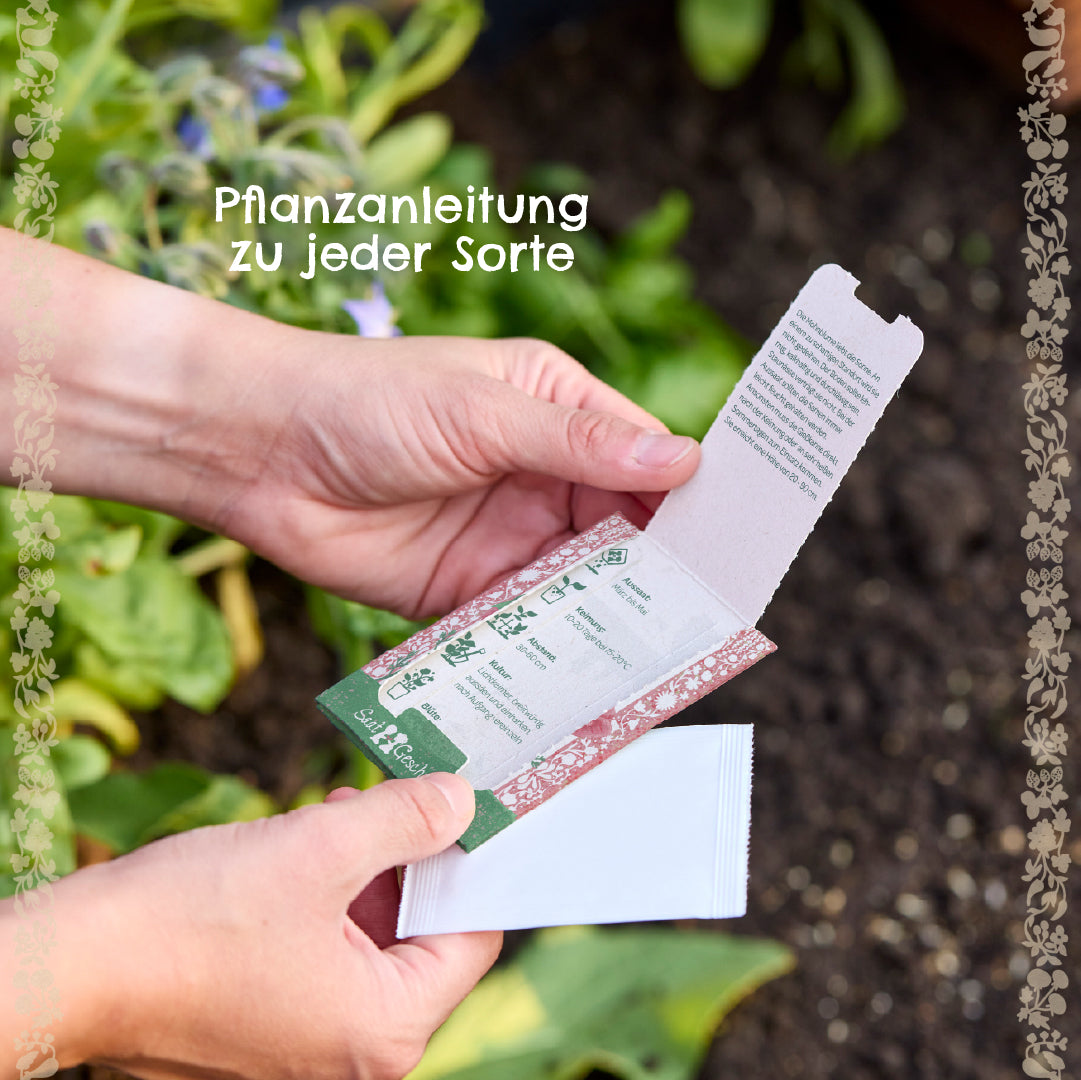 Zwei Hände halten eine Saatgutverpackung mit Pflanzanleitung, im Hintergrund ein Beet mit grünen Pflanzen.