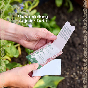 Zwei Hände halten eine Saatgutverpackung mit Pflanzanleitung, im Hintergrund ein Beet mit grünen Pflanzen.