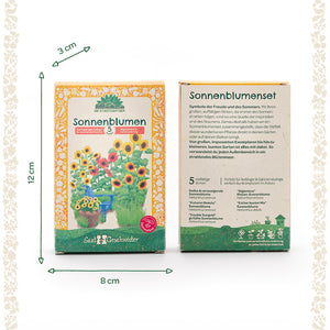 Zwei Sonnenblumensamen-Sets mit gelb-orangenem Design, Vorderseite mit Illustrationen von Sonnenblumen, Rückseite mit Beschreibung und Sortenliste; Maße 12 cm hoch, 8 cm breit, 3 cm tief.