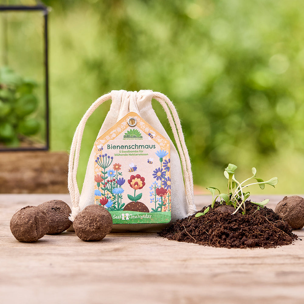 Saatgeschwister – 5 Bienenschmaus Saatkugeln im Baumwollsäckchen | Seedbombs für bunte Wildblumen für Bienen & Insekten| Perfektes Geschenk für Naturliebhaber und Gärtner zum Geburtstag, an Weihnachte