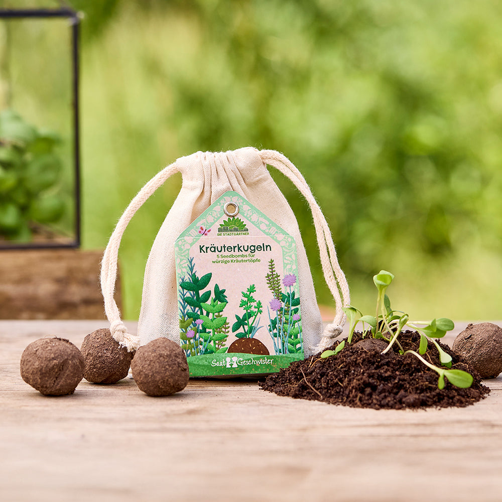 Saatgeschwister Kräuterkugeln – 5 Saatkugeln mit BIO-Kräutersaatgut im Baumwollsäckchen | Für frische & gesunde Kräuter in der Küche | Nachhaltiges Geschenk für Hobbyköche – ideal zum Geburtstag, als 