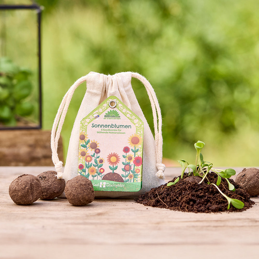 Saatgeschwister – 5 Sonnenblumen Saatkugeln im Baumwollsäckchen | Seedbombs für Sonnenblumen im Garten oder im Hochbeet | Perfektes Geschenk für Naturliebhaber und Gärtner zum Geburtstag, an Weihnacht