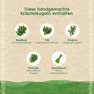 Bild mit fünf verschiedenen Kräutern: Basilikum, Dill, Oregano, Petersilie und Schnittlauch, jeweils mit botanischem Namen, und dem Text "Diese handgemachte Kräuterkugeln enthalten".