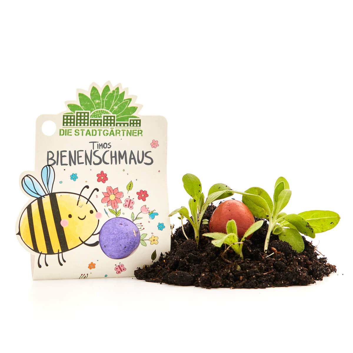 1er Blumenmurmeln I Timos Wilde Blumenmurmel I Mitgebsel Kindergeburtstag I Abschiedsgeschenk Kita