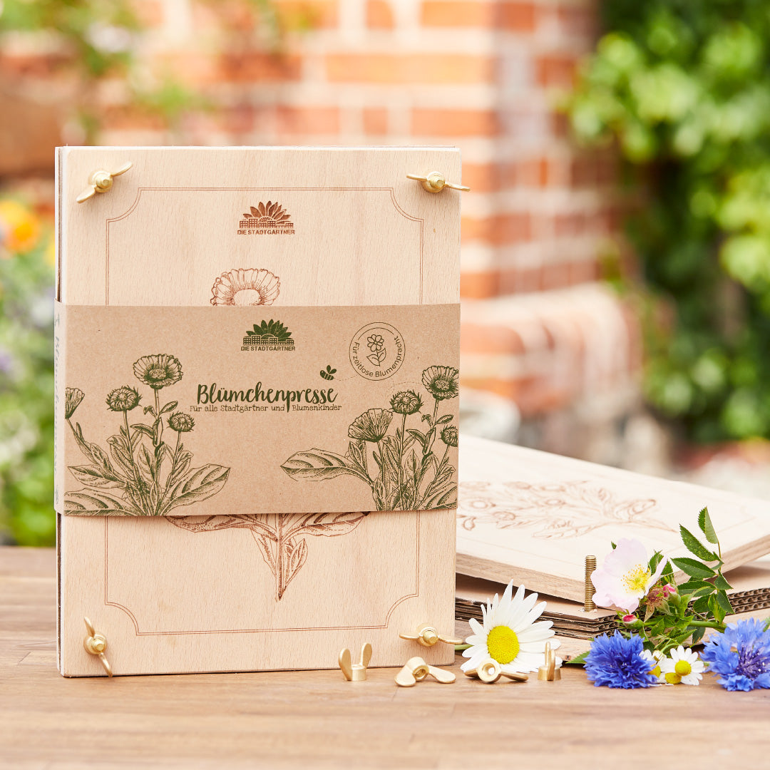 A-Minus-Ware Herbarium Aktenordner 2 Ring DIN A5 Echtleder Handmade Indien Blume A-Minus-Ware Herbarium Aktenordner 2 Ring DIN A5 Echtleder Handmade Indien Blume