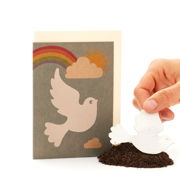 Hand pflanzt eine Papier-Taubenform in Erde vor einer Grußkarte mit Tauben- und Regenbogenmotiv.