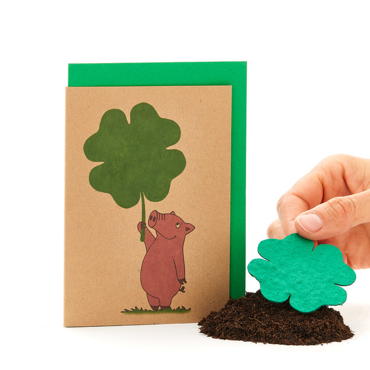 Hand hält Kleeblatt neben Grußkarte mit Schwein, das ein Kleeblatt hält.