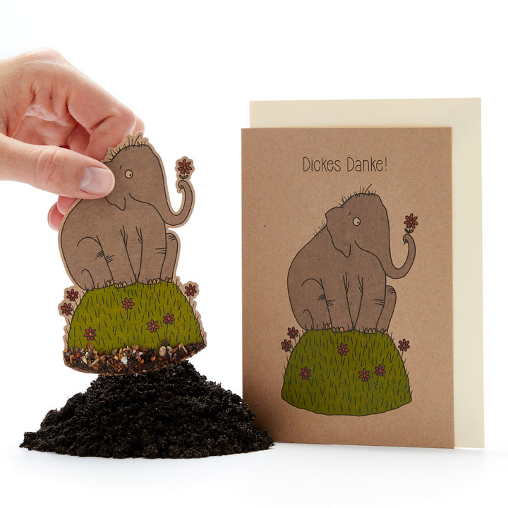 Hand hält eine Pflanzenwachstumskarte in Elefantenform neben einer Grußkarte mit der Aufschrift "Dickes Danke!".
