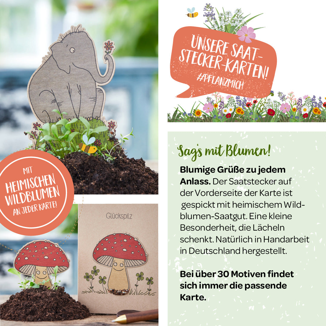Illustration von Pflanzenstecker-Karten mit Wildblumensaat, darunter ein Elefant-Stecker im Blumentopf und eine Karte mit Fliegenpilz-Motiv; Infotext und Blumenillustrationen.