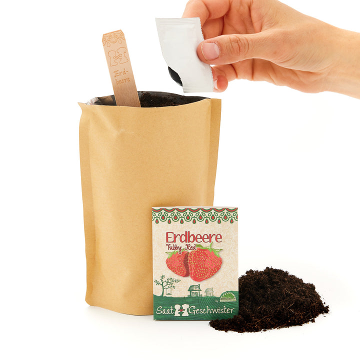 Eine Hand öffnet ein Samentütchen über einem Pflanzbeutel neben Erdbeersaatgut-Packung und Erde.