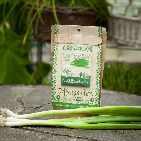 Saattüte für Lauchzwiebeln neben frischen Lauchzwiebeln auf Steinboden mit grüner Umgebung.