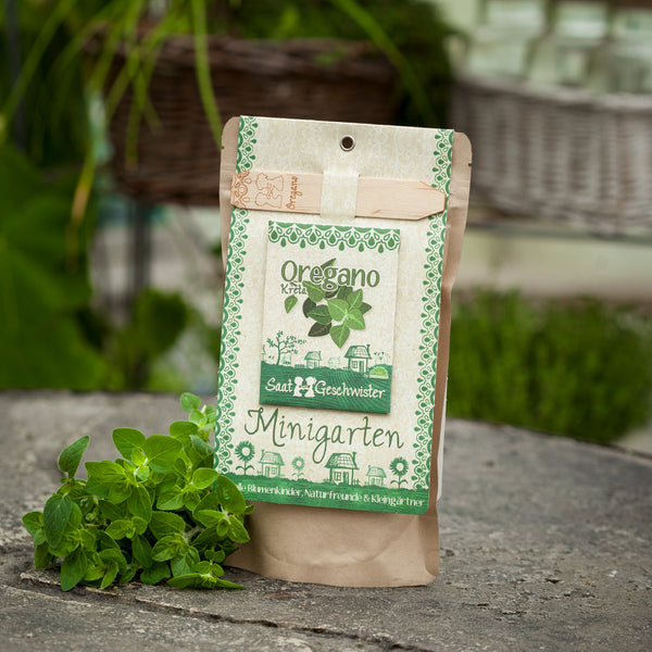 Verpackung für Oregano-Kräutersaatgut neben frischen Oreganopflanzen auf Steinboden.