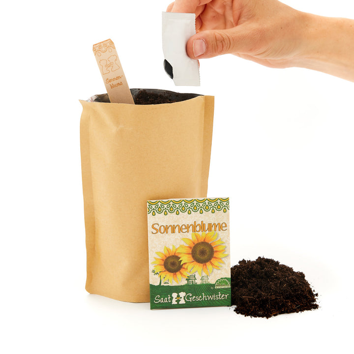 Hand entleert Samen aus einem Päckchen in ein braunes Papiertütchen mit der Aufschrift 'Sonnenblume' und Erde daneben.