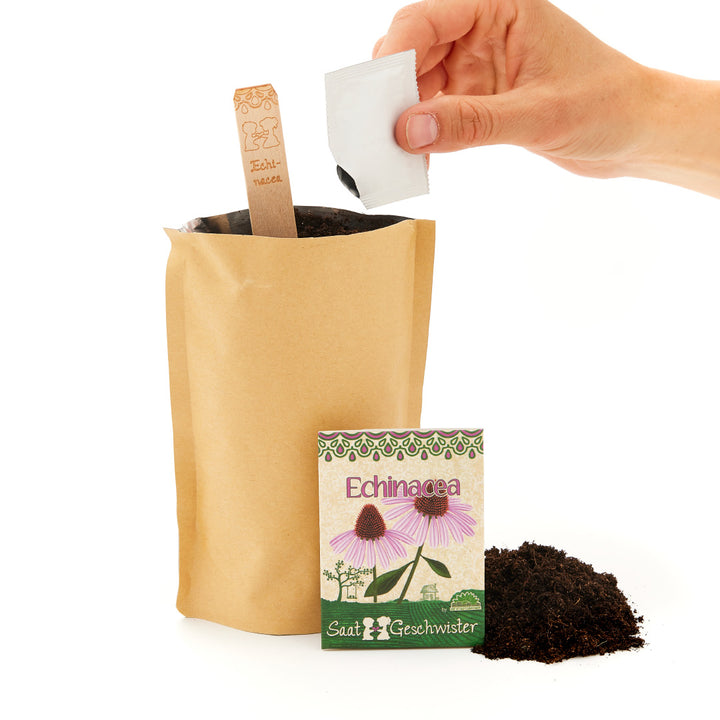 Eine Hand öffnet ein Saattütchen mit Echinacea neben einem Papiertopf mit Erde und einem Samentütchen.