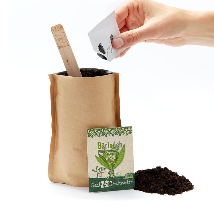 Hand streut Samen in einen Papiertopf mit Erde, Saatguttüte mit Aufschrift 'Bärlauch Waldknoblauch' daneben.