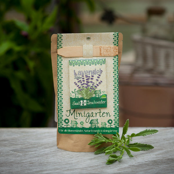 Verpackung für einen Minigarten mit Lavendelsamen auf einem Holztisch, neben frischen Pflanzenblättern.