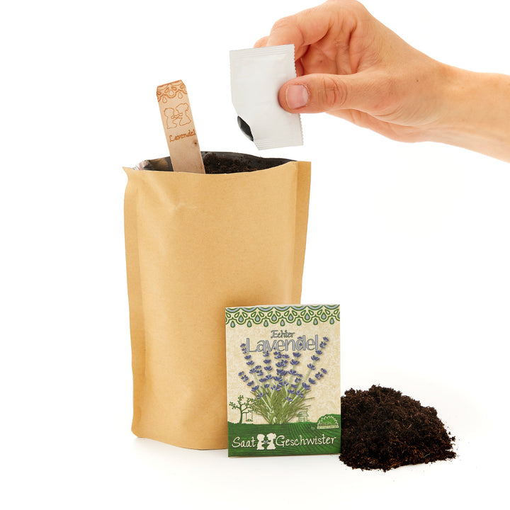 Hand steckt Samentütchen in Papiertüte mit Erde für die Anpflanzung von Lavendel neben einem Samentütchen und einem Haufen Erde.