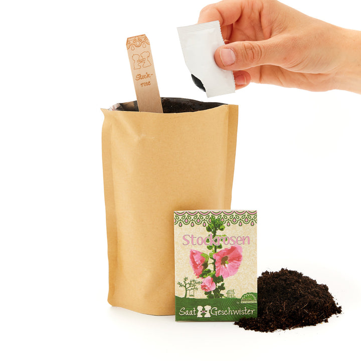 Eine Hand, die einen Samenbeutel über einem Pflanztopf hält, neben einer Tüte Erdsubstrat und einem Samentütchen mit der Aufschrift "Stockrosen".