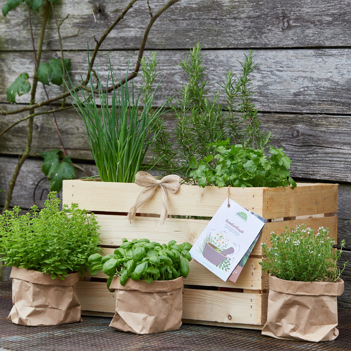 Geschenksets für den Garten | Unser grünes Best-Off